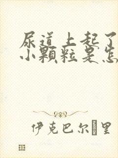 尿道上起了一个小颗粒是怎么回事