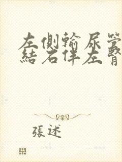 左侧输尿管上段结石伴左肾积液