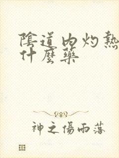 阴道内灼热感用什么药