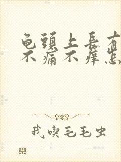 龟头上长有红点不痛不痒怎么回事