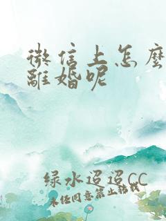 微信上怎么起诉离婚呢