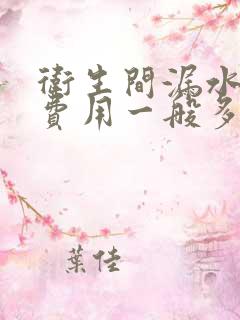 卫生间漏水补漏费用一般多少钱