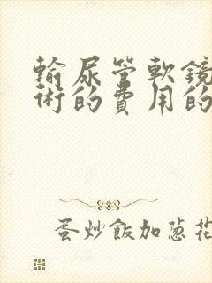 输尿管软镜碎石术的费用的多少