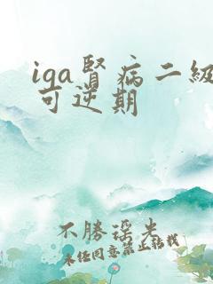 iga肾病二级可逆期