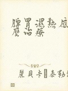 脾胃湿热应该怎么治疗