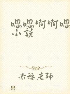 嗯嗯啊啊嗯不要小说