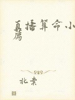 直播算命小说推荐