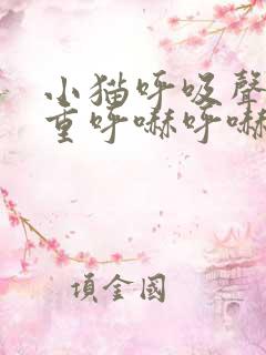 小猫呼吸声音粗重呼哧呼哧的