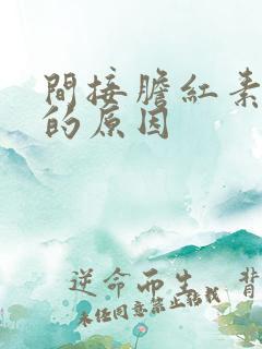 间接胆红素升高的原因