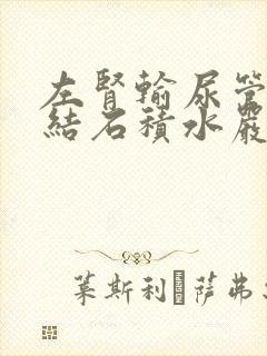 左肾输尿管下段结石积水严不严重