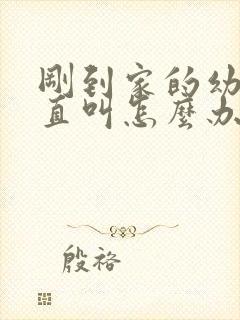 刚到家的幼犬一直叫怎么办