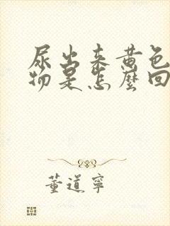 尿出来黄色浑浊物是怎么回事