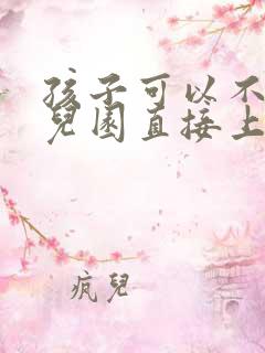 孩子可以不上幼儿园直接上小学吗