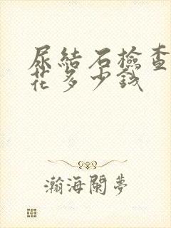 尿结石检查需要花多少钱