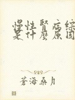 慢性肾病综合征是什么原因引起的