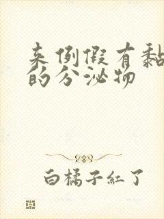 来例假有黏糊糊的分泌物