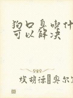 狗口臭吃什么药可以解决