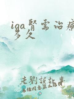 iga肾需治疗多久