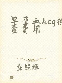 早孕血hcg检查费用