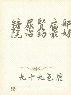 糖尿肾病哪家医院治的最好