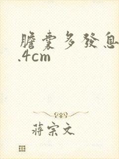 胆囊多发息肉0.4cm