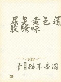 尿是黄色还有一股骚味