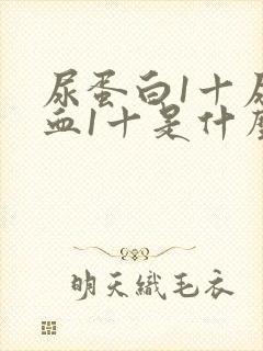 尿蛋白1十尿潜血1十是什么病