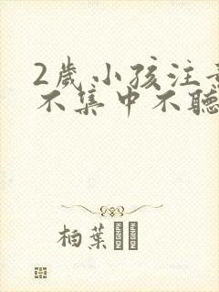 2岁小孩注意力不集中不听指令
