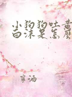 小狗狗吐黄水和白沫是怎么回事