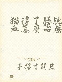 猫得了膀胱炎尿血怎么治疗