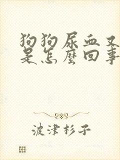 狗狗尿血又吐了是怎么回事