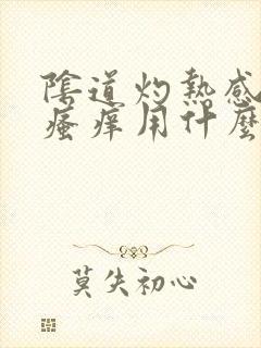 阴道灼热感伴有瘙痒用什么药