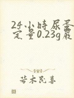 24小时尿蛋白定量0.23g严重吗