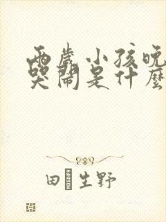 两岁小孩晚上爱哭闹是什么原因