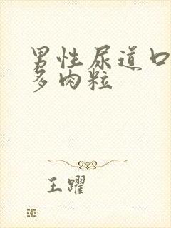 男性尿道口长很多肉粒