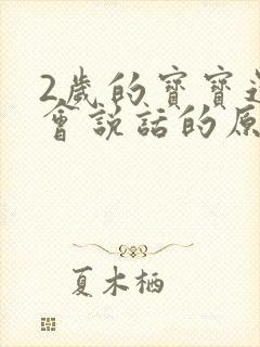 2岁的宝宝还不会说话的原因