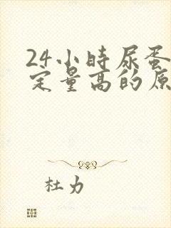 24小时尿蛋白定量高的原因