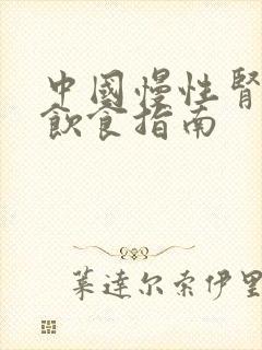 中国慢性肾脏病饮食指南