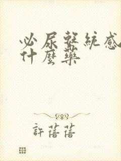 必尿系统感染吃什么药