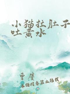 小猫拉肚子还还吐黄水