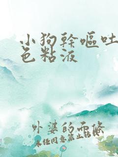 小狗干呕吐出白色粘液