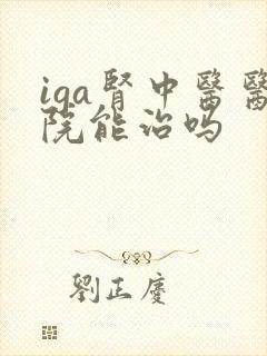 iga肾中医医院能治吗