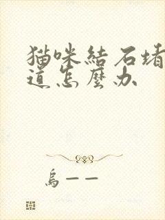 猫咪结石堵住尿道怎么办