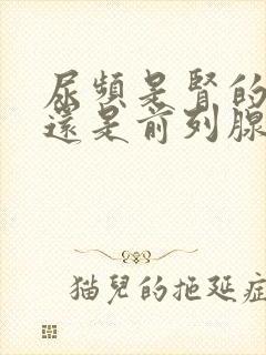 尿频是肾的问题还是前列腺