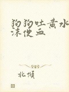 狗狗吐黄水带泡沫便血