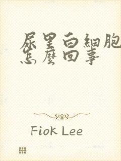 尿里白细胞高是怎么回事