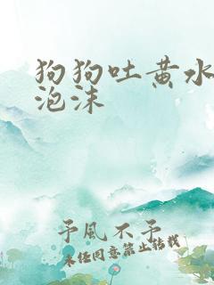 狗狗吐黄水是带泡沫