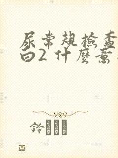 尿常规检查尿蛋白2 什么意思