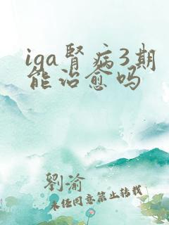 iga肾病3期能治愈吗