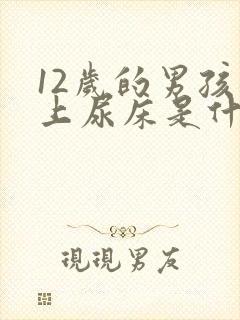 12岁的男孩晚上尿床是什么原因呢?